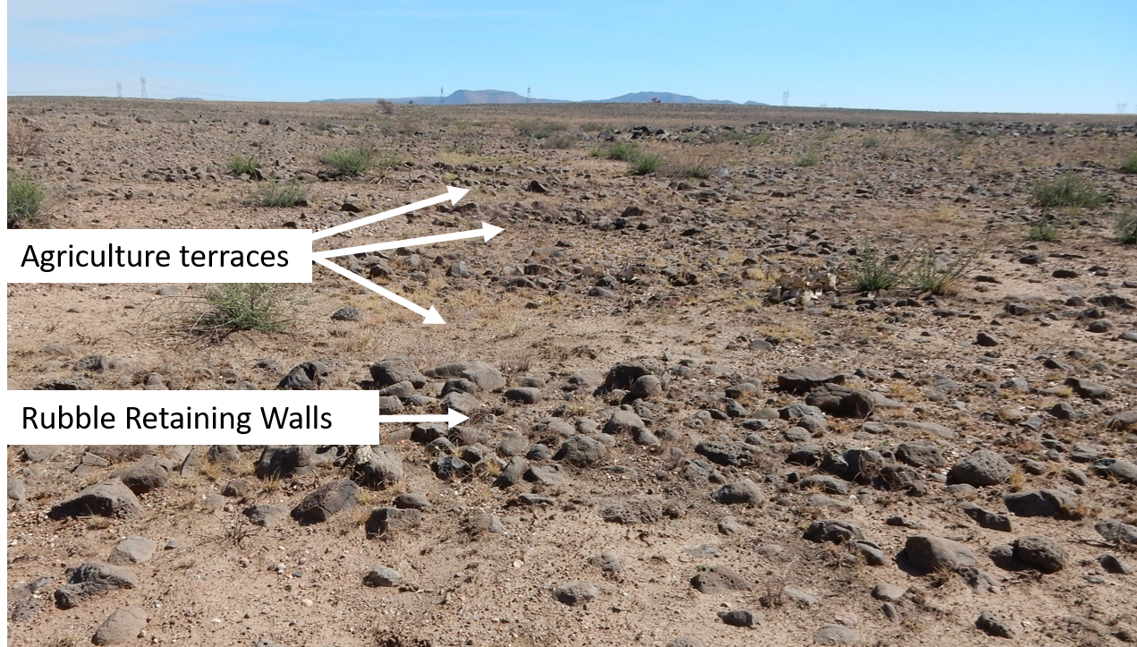 Terraces with labels